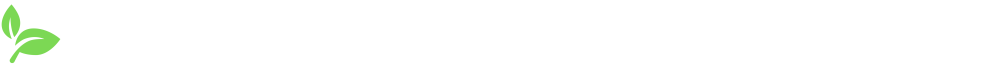 Link to Homepage