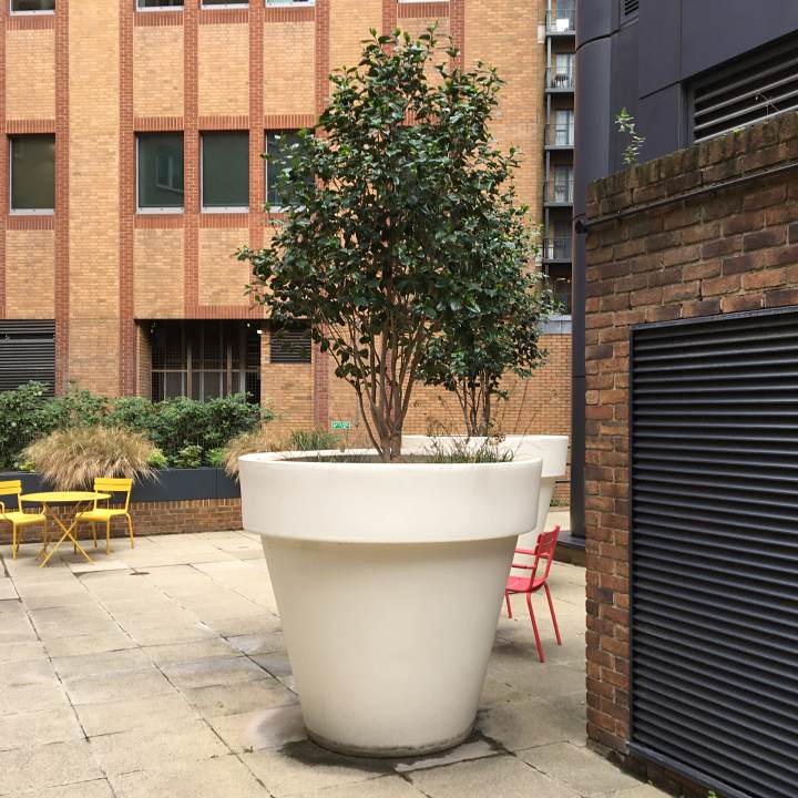 oversized planter pots