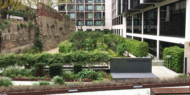 salters garden london