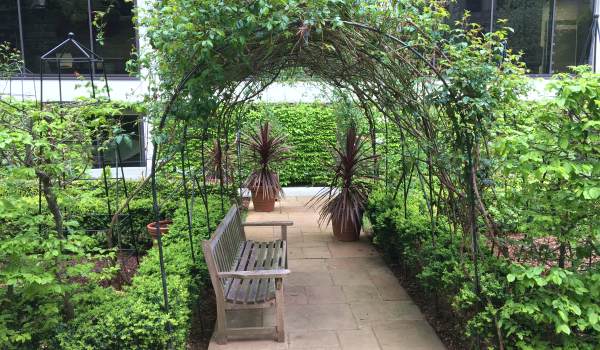 covered pergola walkway