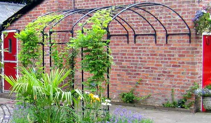 Wall Arches
