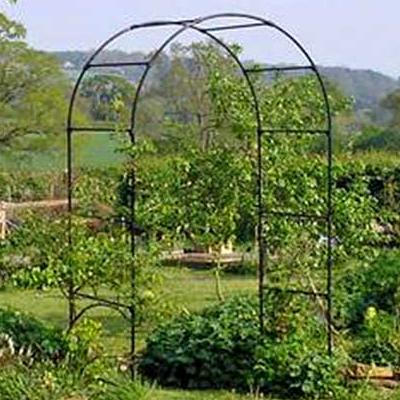 Agriframes Fruit Tree Arch