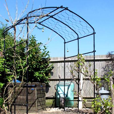 Agriframes Vine Arch