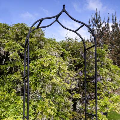 Crocus Baroque Arch