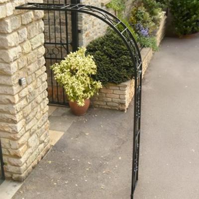 Crocus Wall Arch